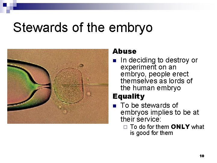 Stewards of the embryo Abuse n In deciding to destroy or experiment on an