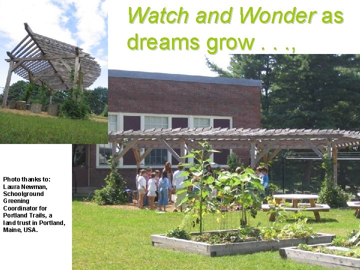 Watch and Wonder as dreams grow. . . , Photo thanks to: Laura Newman,