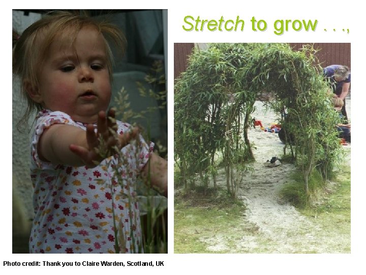 Stretch to grow. . . , Photo credit: Thank you to Claire Warden, Scotland,