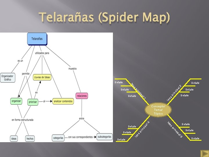 Telarañas (Spider Map) Detalle in Detalle Id e 1 a al pr cip Detalle