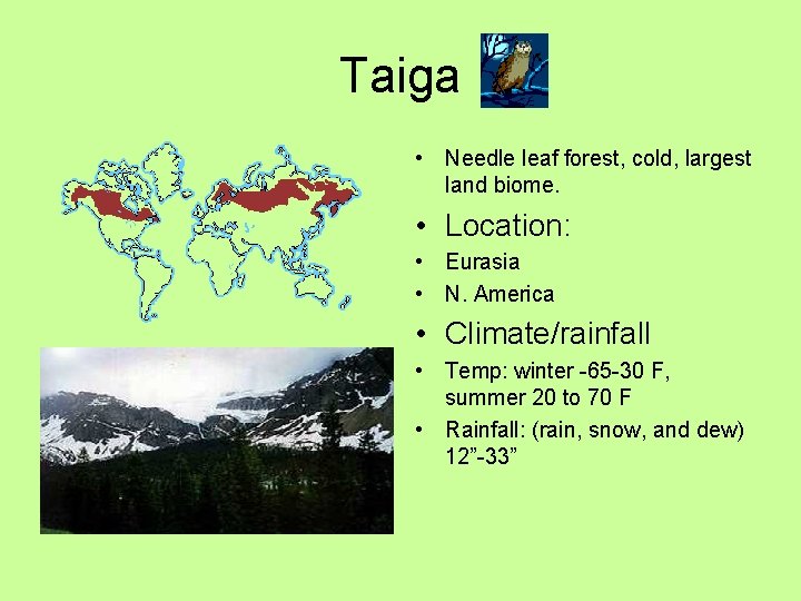 Taiga • Needle leaf forest, cold, largest land biome. • Location: • Eurasia •