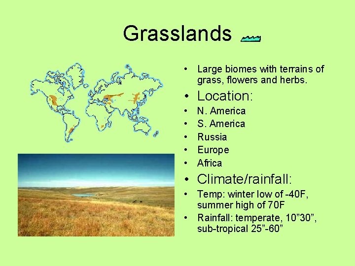 Grasslands • Large biomes with terrains of grass, flowers and herbs. • Location: •