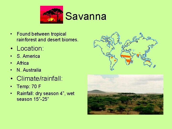 Savanna • Found between tropical rainforest and desert biomes. • Location: • S. America