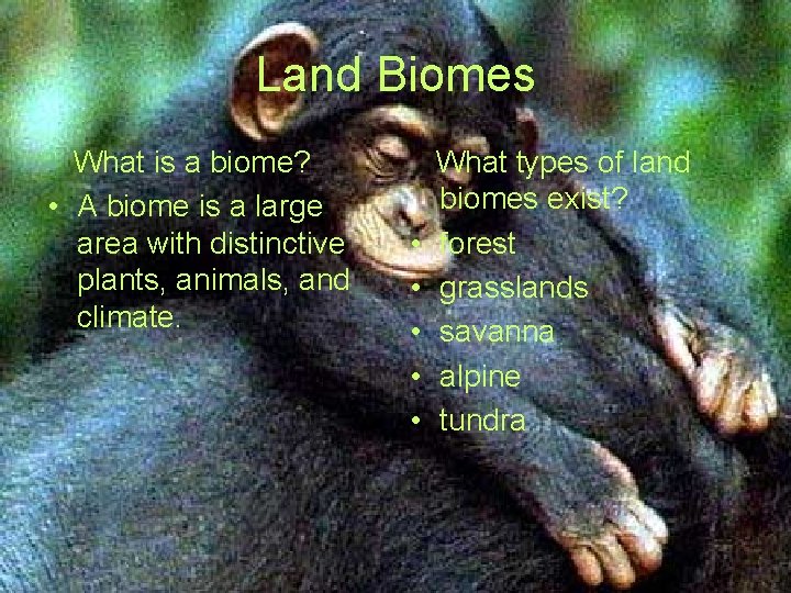 Land Biomes What is a biome? • A biome is a large area with