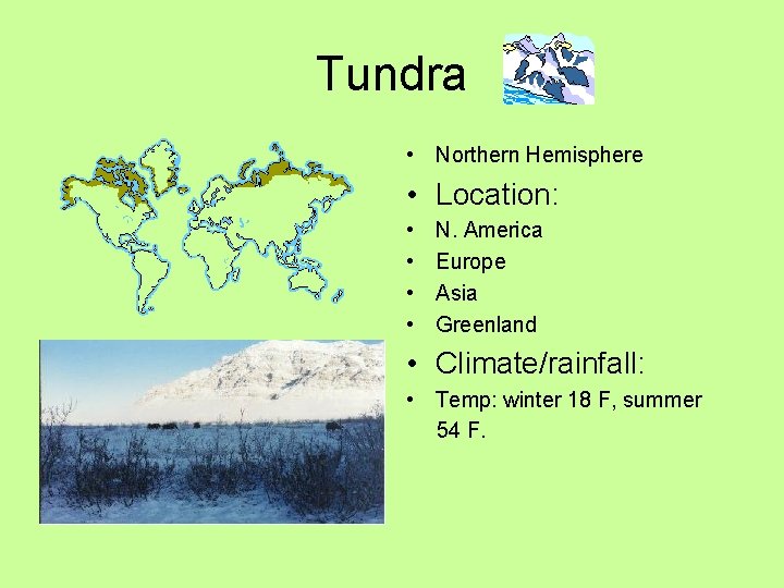 Tundra • Northern Hemisphere • Location: • • N. America Europe Asia Greenland •