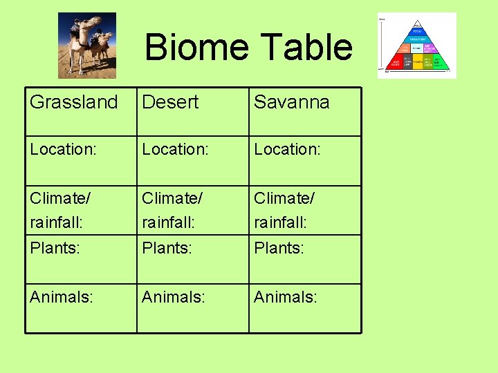 Biome Table Grassland Desert Savanna Location: Climate/ rainfall: Plants: Animals: 