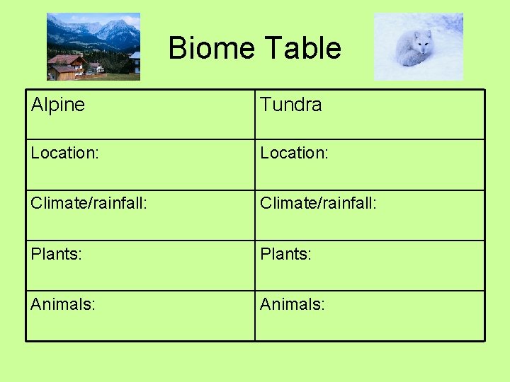 Biome Table Alpine Tundra Location: Climate/rainfall: Plants: Animals: 