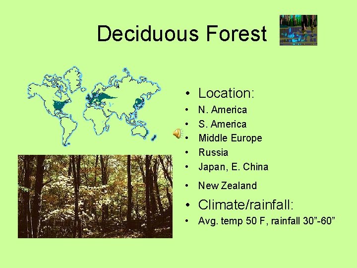 Deciduous Forest • Location: • • • N. America S. America Middle Europe Russia