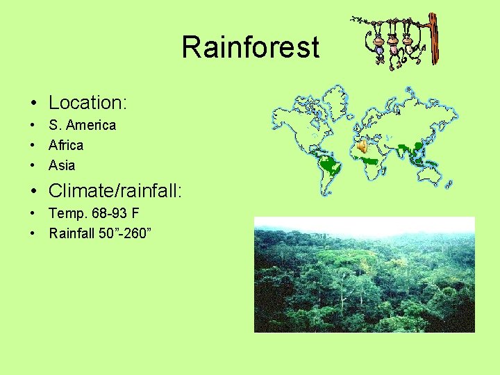 Rainforest • Location: • S. America • Africa • Asia • Climate/rainfall: • Temp.