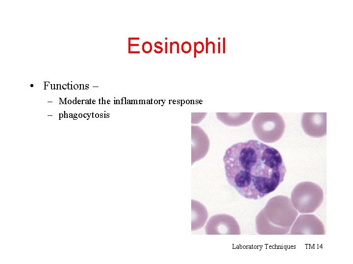 Eosinophil • Functions – – Moderate the inflammatory response – phagocytosis Laboratory Techniques TM