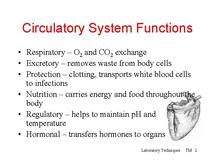 Circulatory System Functions • Respiratory – O 2 and CO 2 exchange • Excretory