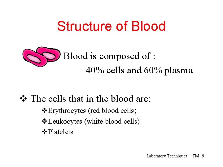 Structure of Blood is composed of : 40% cells and 60% plasma v The