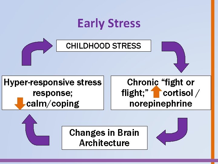 Early Stress CHILDHOOD TOXIC STRESS Hyper-responsive stress response; calm/coping Chronic “fight or flight; ”