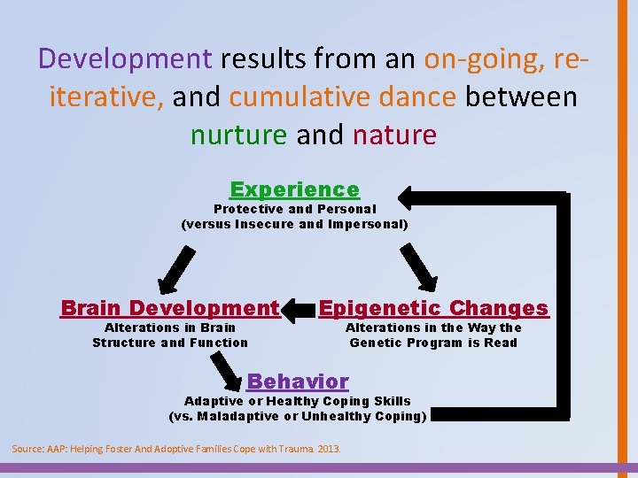 Development results from an on-going, reiterative, and cumulative dance between nurture and nature Experience