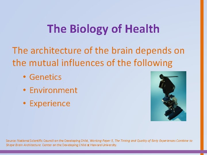 The Biology of Health The architecture of the brain depends on the mutual influences
