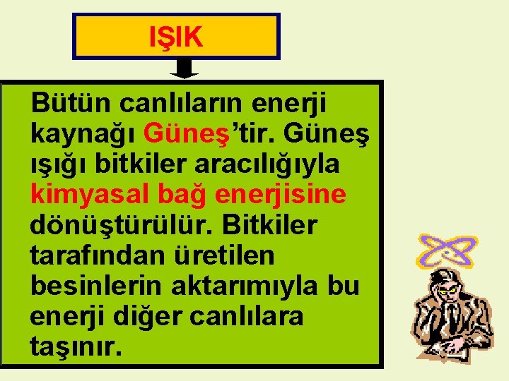 IŞIK Bütün canlıların enerji kaynağı Güneş’tir. Güneş ışığı bitkiler aracılığıyla kimyasal bağ enerjisine dönüştürülür.