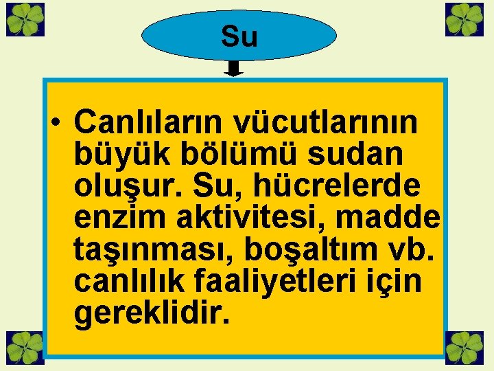 Su • Canlıların vücutlarının büyük bölümü sudan oluşur. Su, hücrelerde enzim aktivitesi, madde taşınması,