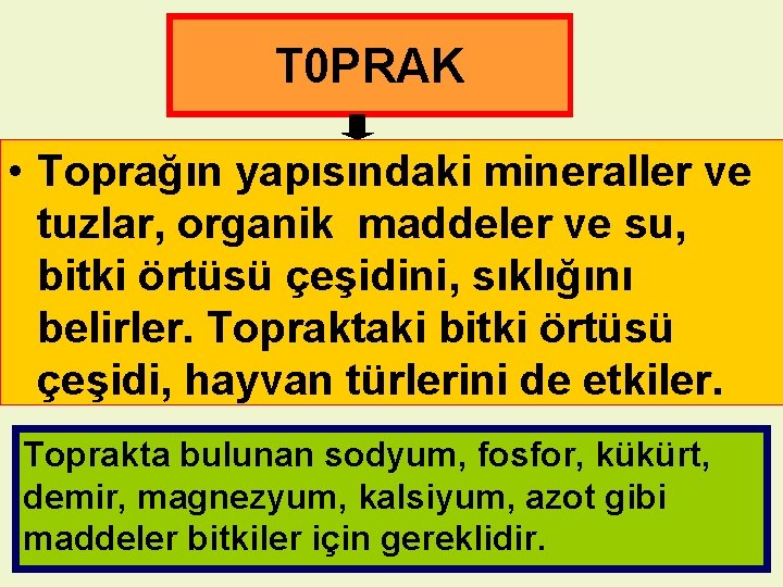 T 0 PRAK • Toprağın yapısındaki mineraller ve tuzlar, organik maddeler ve su, bitki