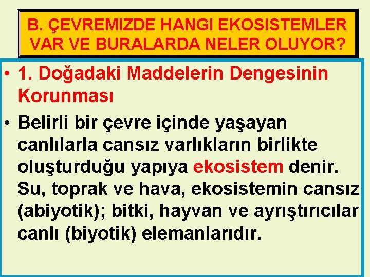 B. ÇEVREMIZDE HANGI EKOSISTEMLER VAR VE BURALARDA NELER OLUYOR? • 1. Doğadaki Maddelerin Dengesinin