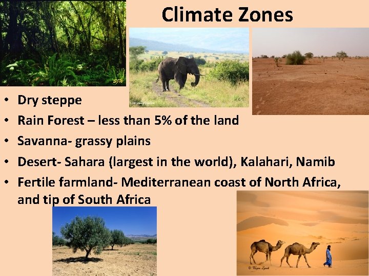 Climate Zones • • • Dry steppe Rain Forest – less than 5% of