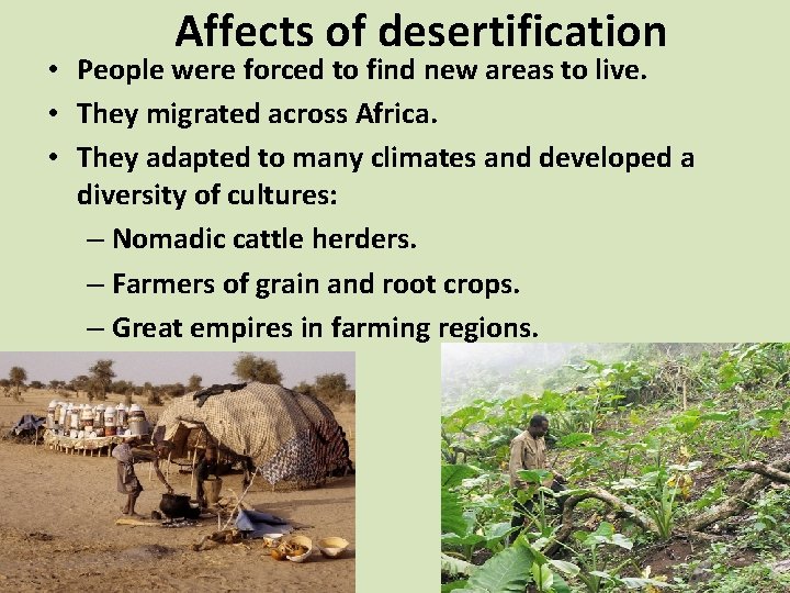 Affects of desertification • People were forced to find new areas to live. •