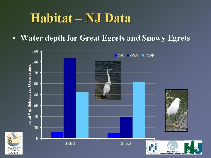 Habitat – NJ Data • Water depth for Great Egrets and Snowy Egrets Total