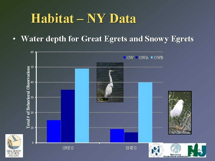 Habitat – NY Data • Water depth for Great Egrets and Snowy Egrets 60