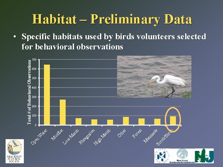 Habitat – Preliminary Data 700 600 500 400 300 200 100 ru b/ Sh