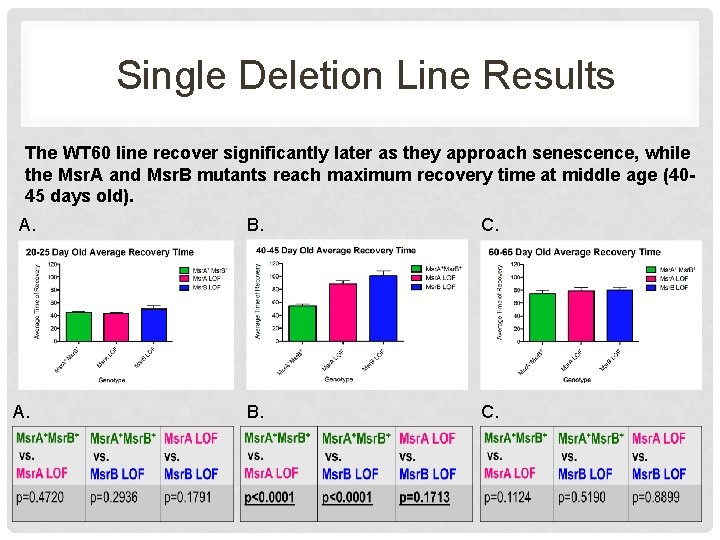 Single Deletion Line Results The WT 60 line recover significantly later as they approach