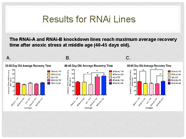 Results for RNAi Lines The RNAi-A and RNAi-B knockdown lines reach maximum average recovery
