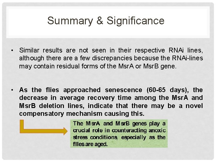 Summary & Significance • Similar results are not seen in their respective RNAi lines,