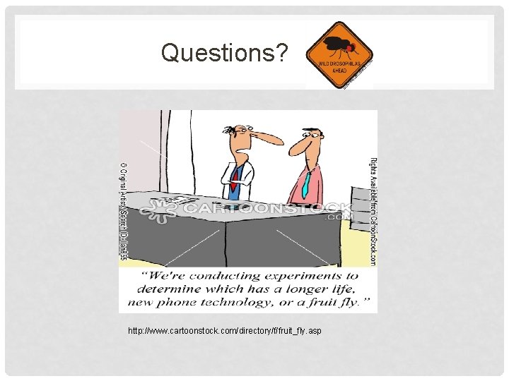Questions? http: //www. cartoonstock. com/directory/f/fruit_fly. asp 