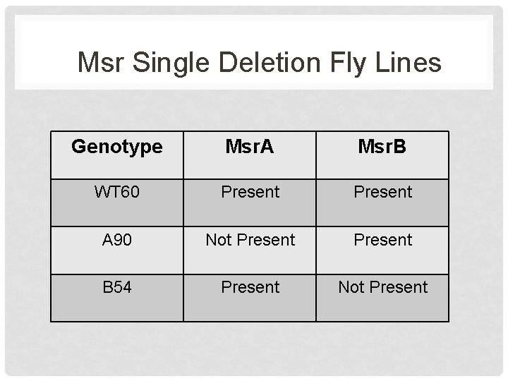 Msr Single Deletion Fly Lines Genotype Msr. A Msr. B WT 60 Present A