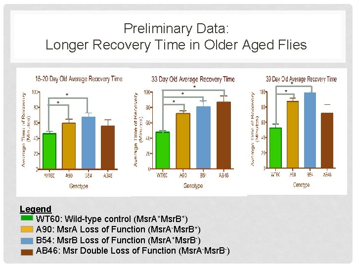 Preliminary Data: Longer Recovery Time in Older Aged Flies * * * Legend WT