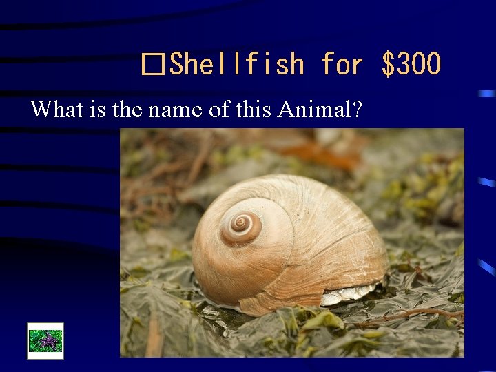 �Shellfish for $300 What is the name of this Animal? 