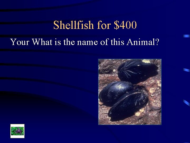 Shellfish for $400 Your What is the name of this Animal? 