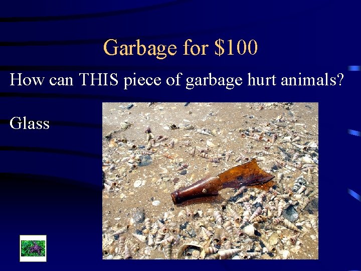 Garbage for $100 How can THIS piece of garbage hurt animals? Glass 