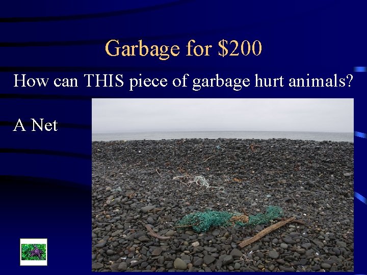 Garbage for $200 How can THIS piece of garbage hurt animals? A Net 