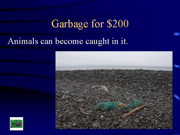 Garbage for $200 Animals can become caught in it. 