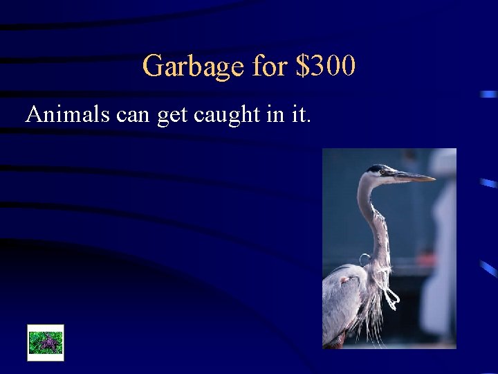 Garbage for $300 Animals can get caught in it. 