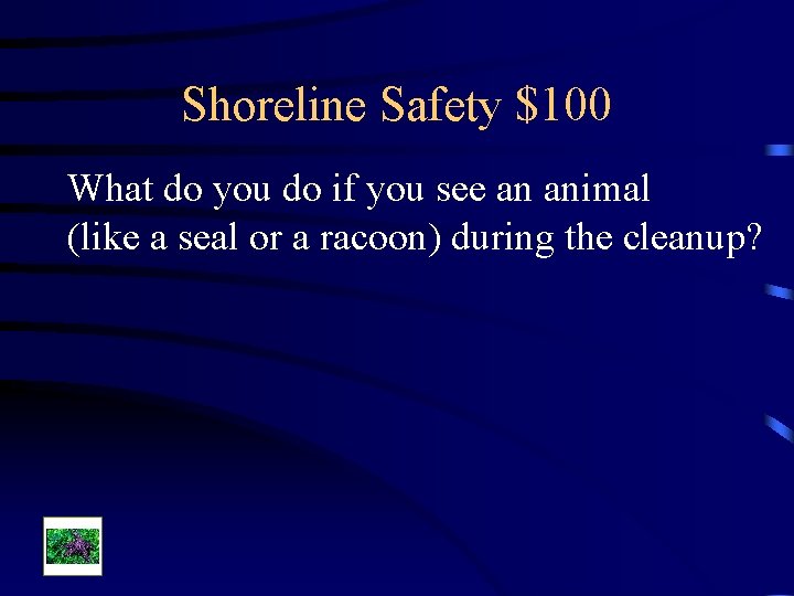 Shoreline Safety $100 What do you do if you see an animal (like a