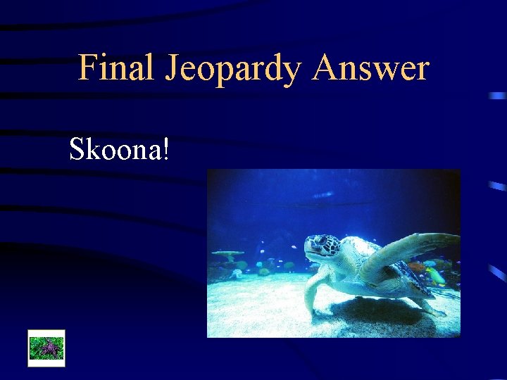 Final Jeopardy Answer Skoona! 