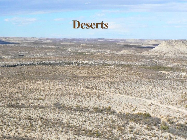 Deserts Deserts