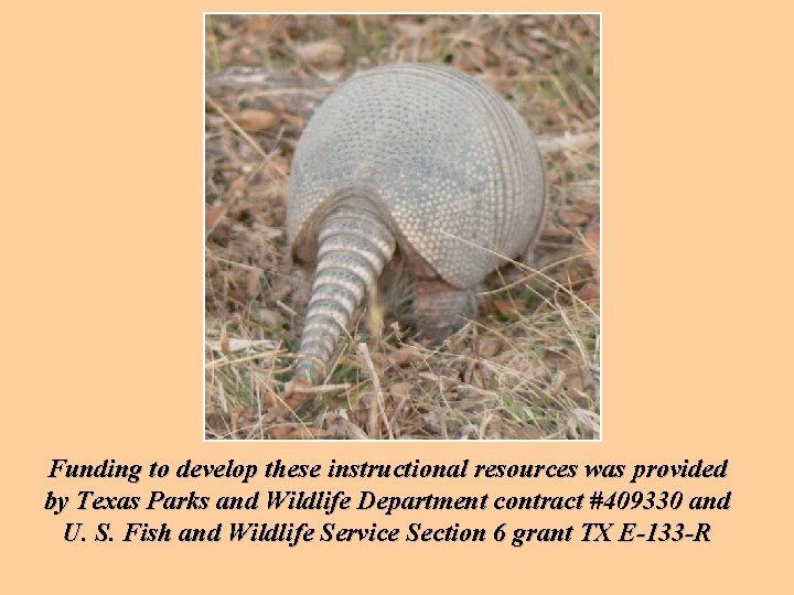 Funding to develop these instructional resources was provided by Texas Parks and Wildlife Department Funding to develop these instructional resources was provided by Texas Parks and Wildlife Department
