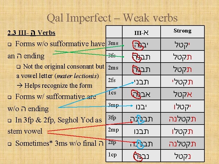 Qal Imperfect – Weak verbs 2. 3 III- ה Verbs q Forms w/o sufformative