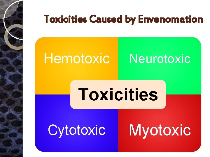 Toxicities Caused by Envenomation Hemotoxic Neurotoxic Toxicities Cytotoxic Myotoxic 