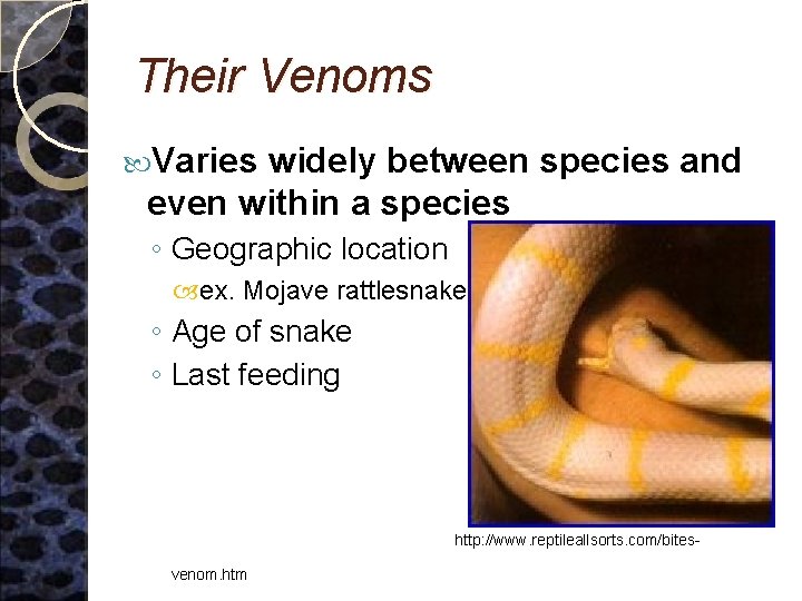 Their Venoms Varies widely between species and even within a species ◦ Geographic location
