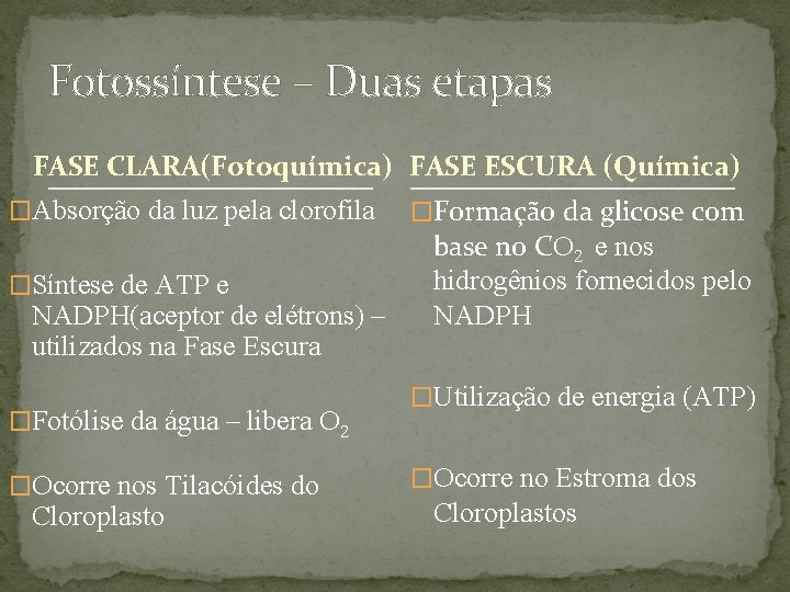 Fotossíntese – Duas etapas FASE CLARA(Fotoquímica) FASE ESCURA (Química) �Absorção da luz pela clorofila Fotossíntese – Duas etapas FASE CLARA(Fotoquímica) FASE ESCURA (Química) �Absorção da luz pela clorofila