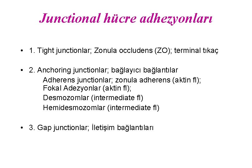 Junctional hücre adhezyonları • 1. Tight junctionlar; Zonula occludens (ZO); terminal tıkaç • 2.