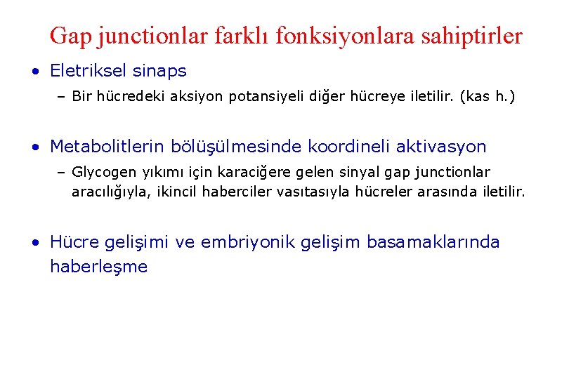 Gap junctionlar farklı fonksiyonlara sahiptirler • Eletriksel sinaps – Bir hücredeki aksiyon potansiyeli diğer